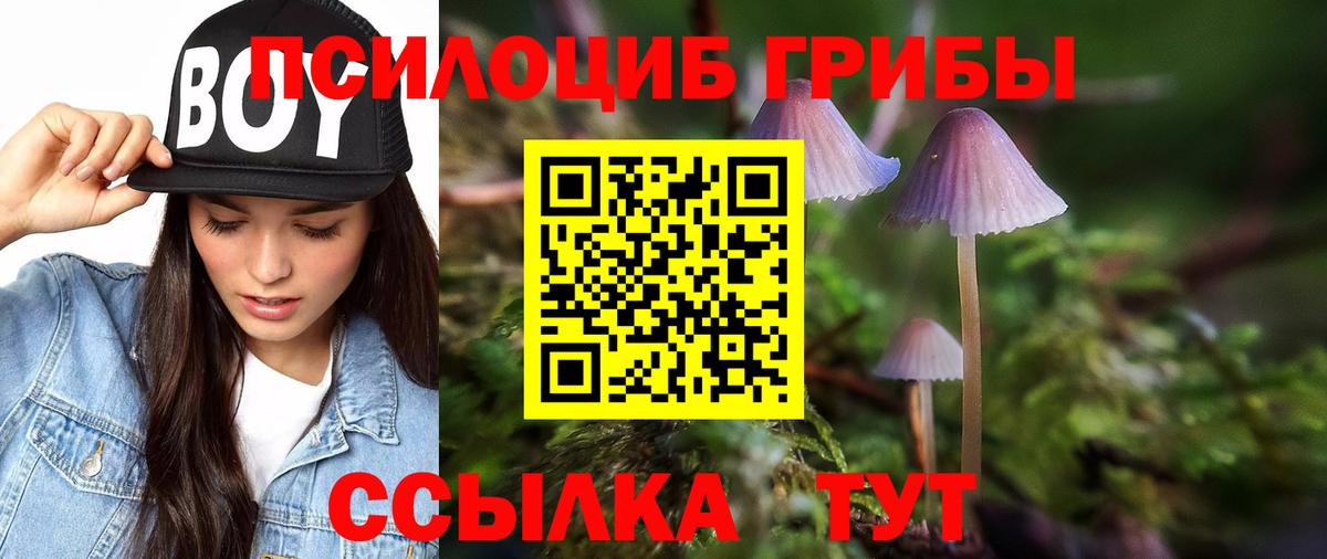 Псилоцибиновые грибы мицелий  Псилоцибиновые грибы ЛСД  Карабулак  Вход с VPN 