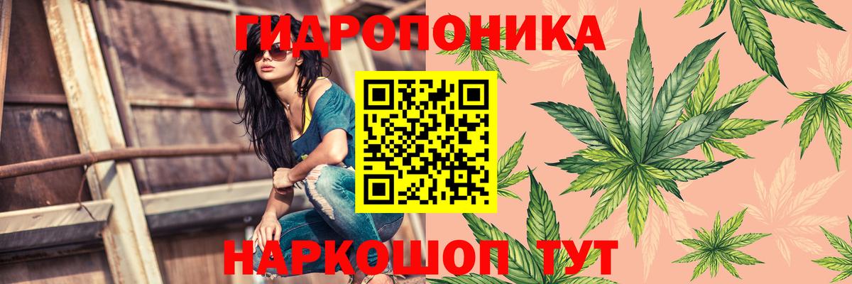 Марихуана ГИДРОПОН  Бошки Шишки ГИДРОПОН  Вход с VPN  Карабулак  Конопля AK-47 